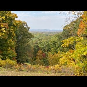 Meet your Posher, Araceli